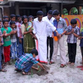 Medical Plant Distribution in Kayamkulam, Kerala,