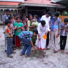 Medical Plant Distribution in Kayamkulam, Kerala,